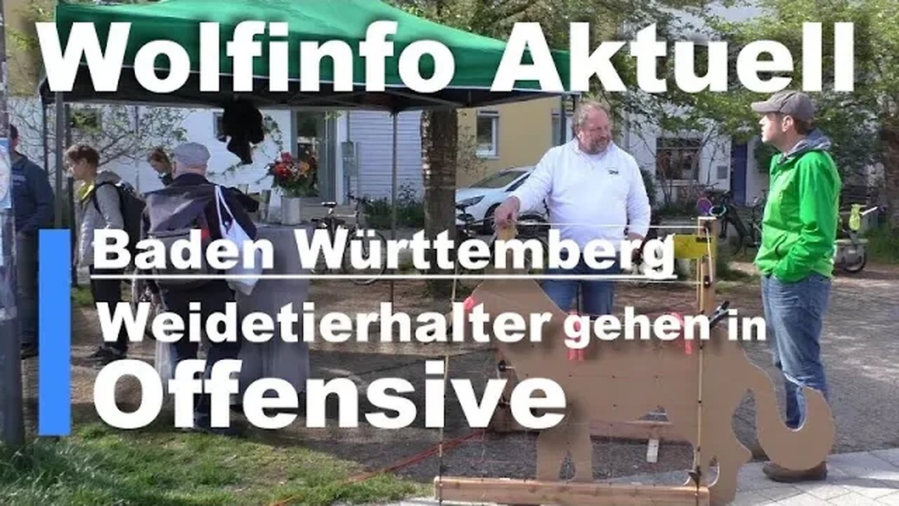 Wolfinfo Aktuell Spezial (Baden Württemberg: Weidetierhalter gehen in die Offensive)