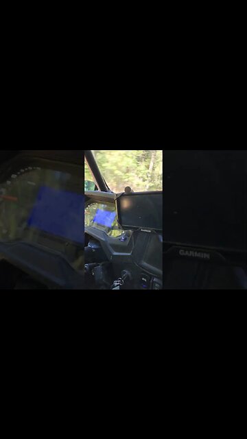 Polaris RZR in Northern Michigan #polaris #trail6 #rzr