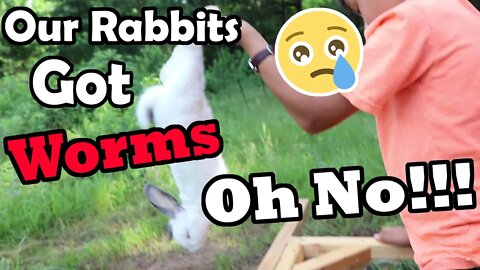 Our Rabbit Got worms!!//Morning & evening chores