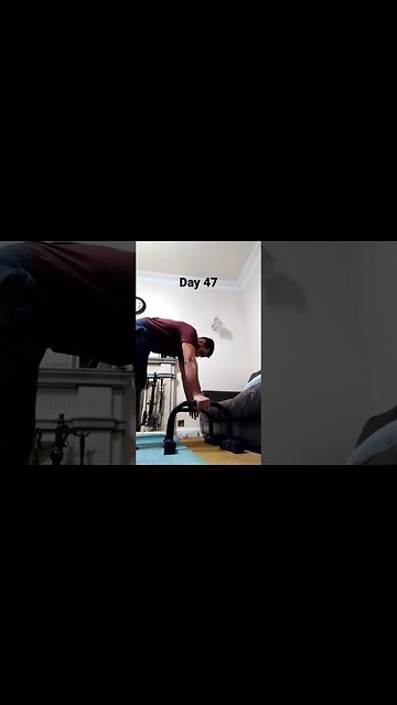 Day 47 - Learning How To Do Handstand Push Ups