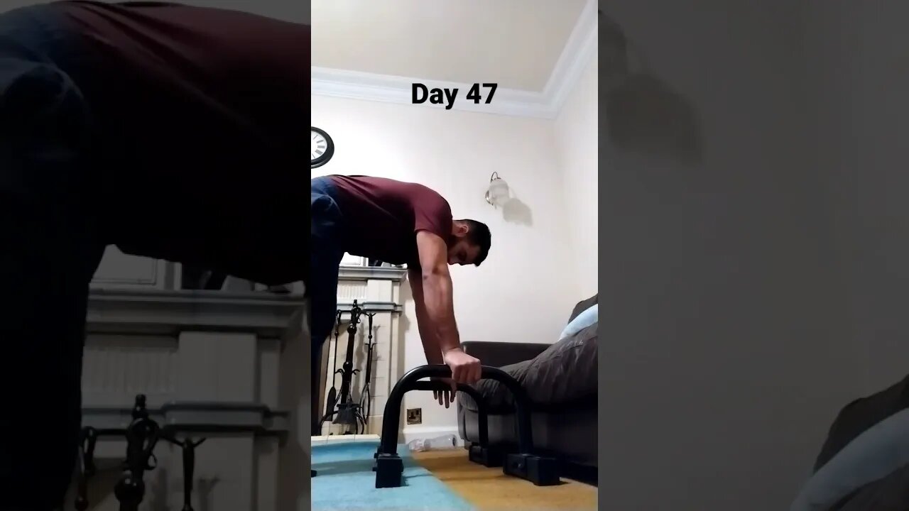 Day 47 - Learning How To Do Handstand Push Ups