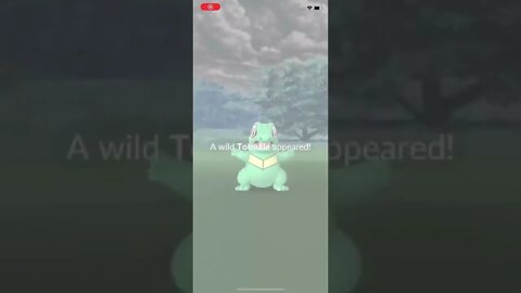 Shiny Totodile