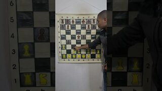 What is the Wing Gambit in Chess?