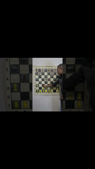 What is the Wing Gambit in Chess?