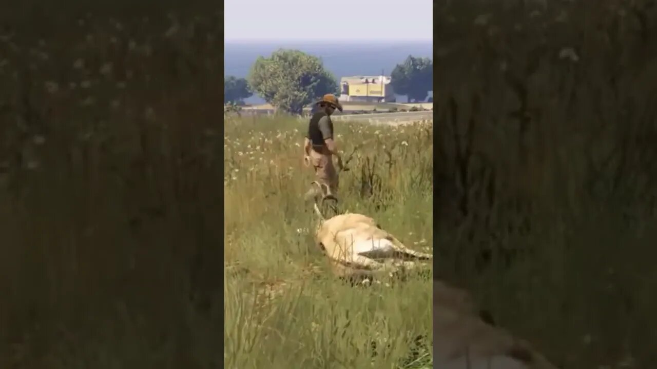 How To Hunt In GTA