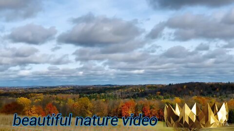 Relaxing Music Relief Stress Nature Sounds Meditation Calming Falling Sound Effect Peaceful Insomnia