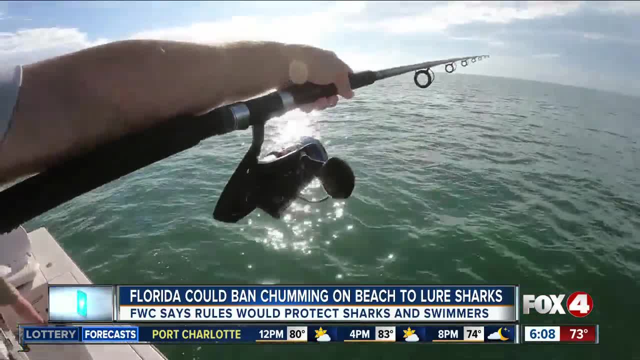 Florida preparing statewide ban for chumming near the shore