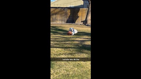 World’s Toughest Mystery!