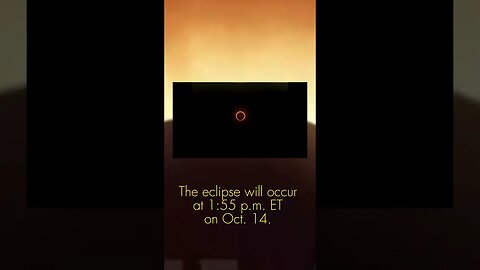Check This Out😀 October 14, 2023 #shorts #funny