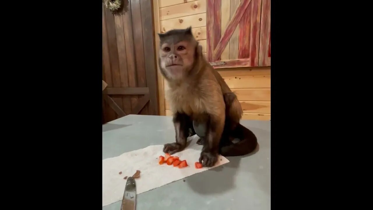 Look what a FRAND sent me thank you so much Kalynda and Blake!!!!