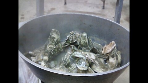 Southern Jeaux Carolina Oysters