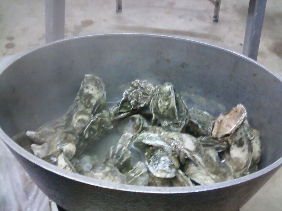 Southern Jeaux Carolina Oysters