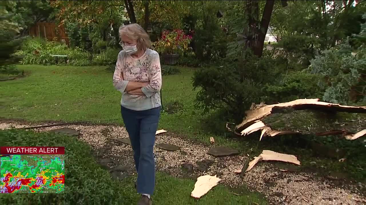 Tree falls on Broadview Heights home