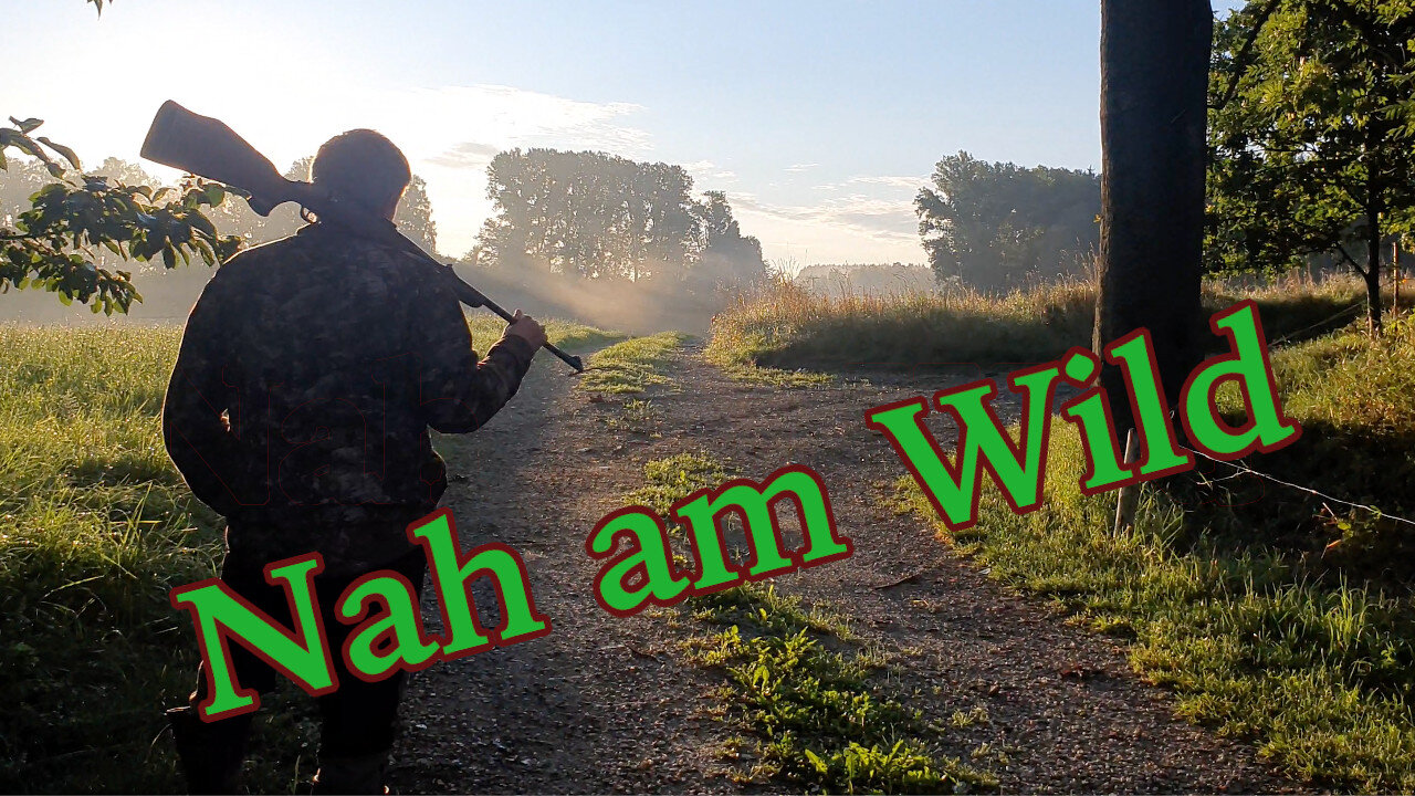 Open Sight Hunting - Near to the game - T-Hunting