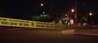 Woman bit by car near Jones and Desert Inn