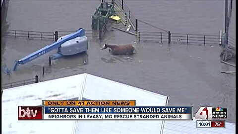 Crews take to boats to rescue horses, livestock in Levasy