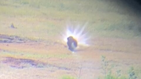 6.5 Creedmoor 97 Absolute Hammer 3487 FPS (Hammer Trail)