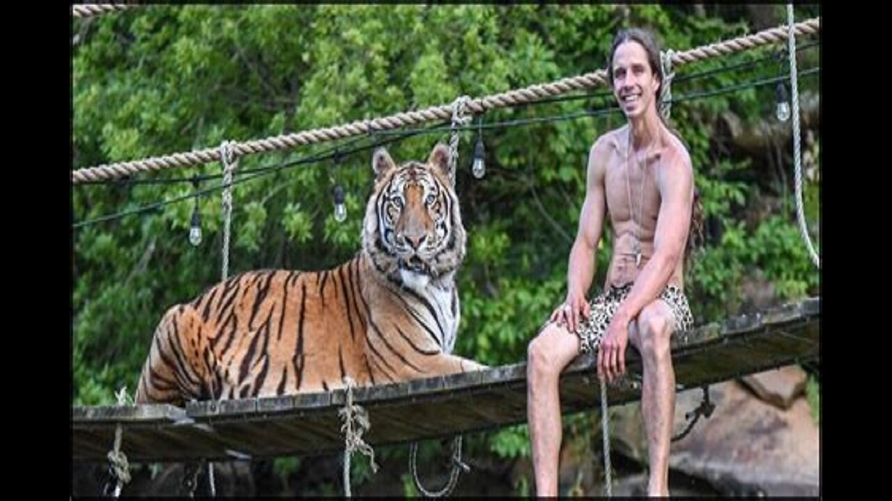 man and tiger love become dangerous