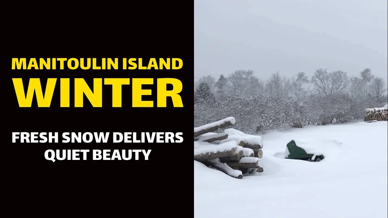 MANITOULIN ISLAND WINTER: Fresh Snow Delivers Quiet Beauty