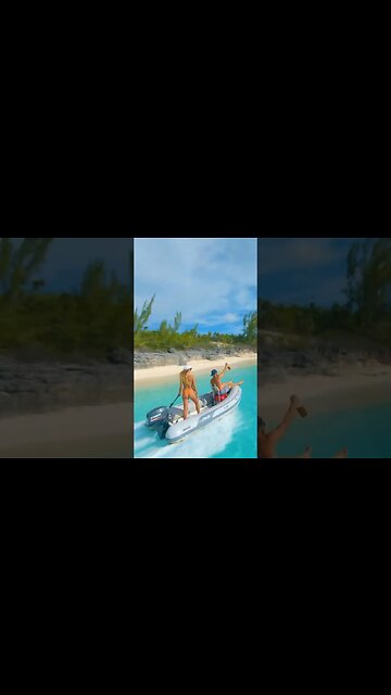 Spear It Animal Saved Us Saling In The Bahamas! 🔱