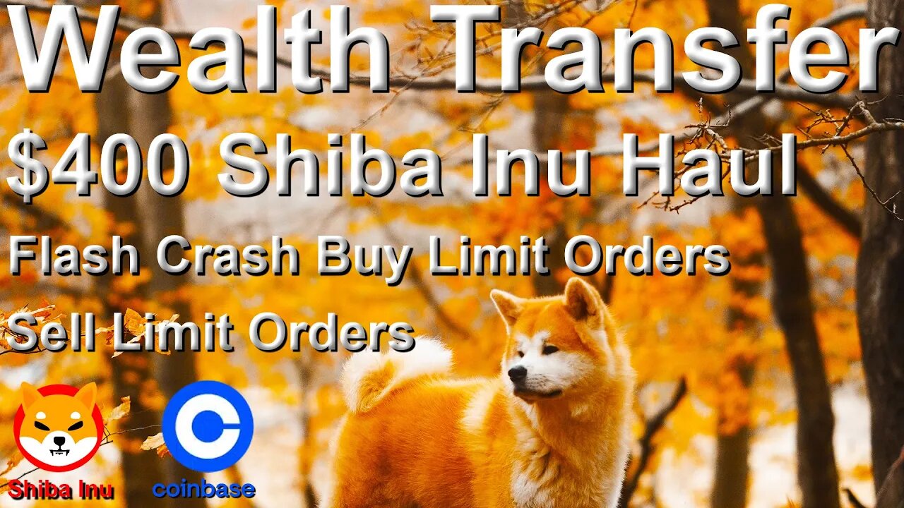 Wealth Transfer $400 Shiba Inu Coinbase Haul - Flash Crash Buy Limit Order + Sell Limit Orders