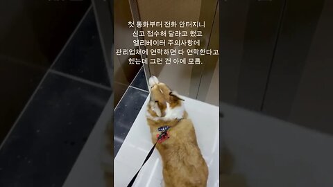 엘리베이터 사고 ㅜㅜ 남 얘기가 아니에요. #vlog #엘리베이터