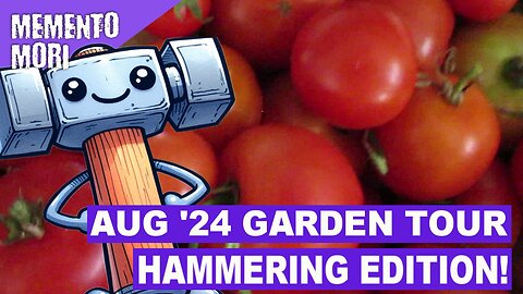 August 2024 Garden Tour: Tomatoes, Beans, Eggplants, Peppers, Zucchini! (Zone 4b)