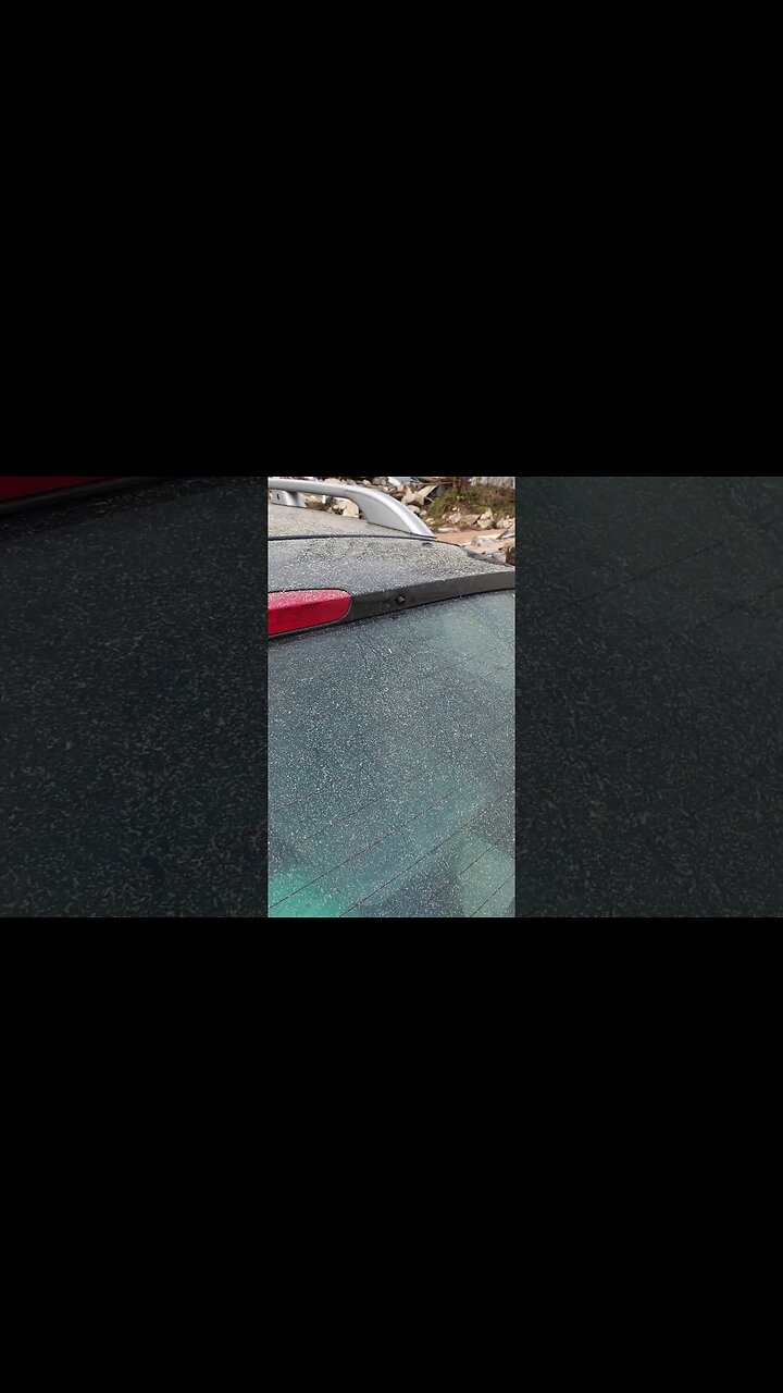 Rhino encounters Monkey