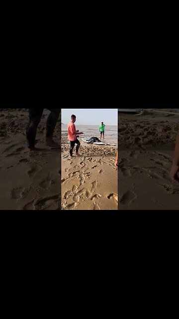 Guys in Morocco Help a Stranded Leather-back Turtle Back to Sea #humanityinspired #humanity