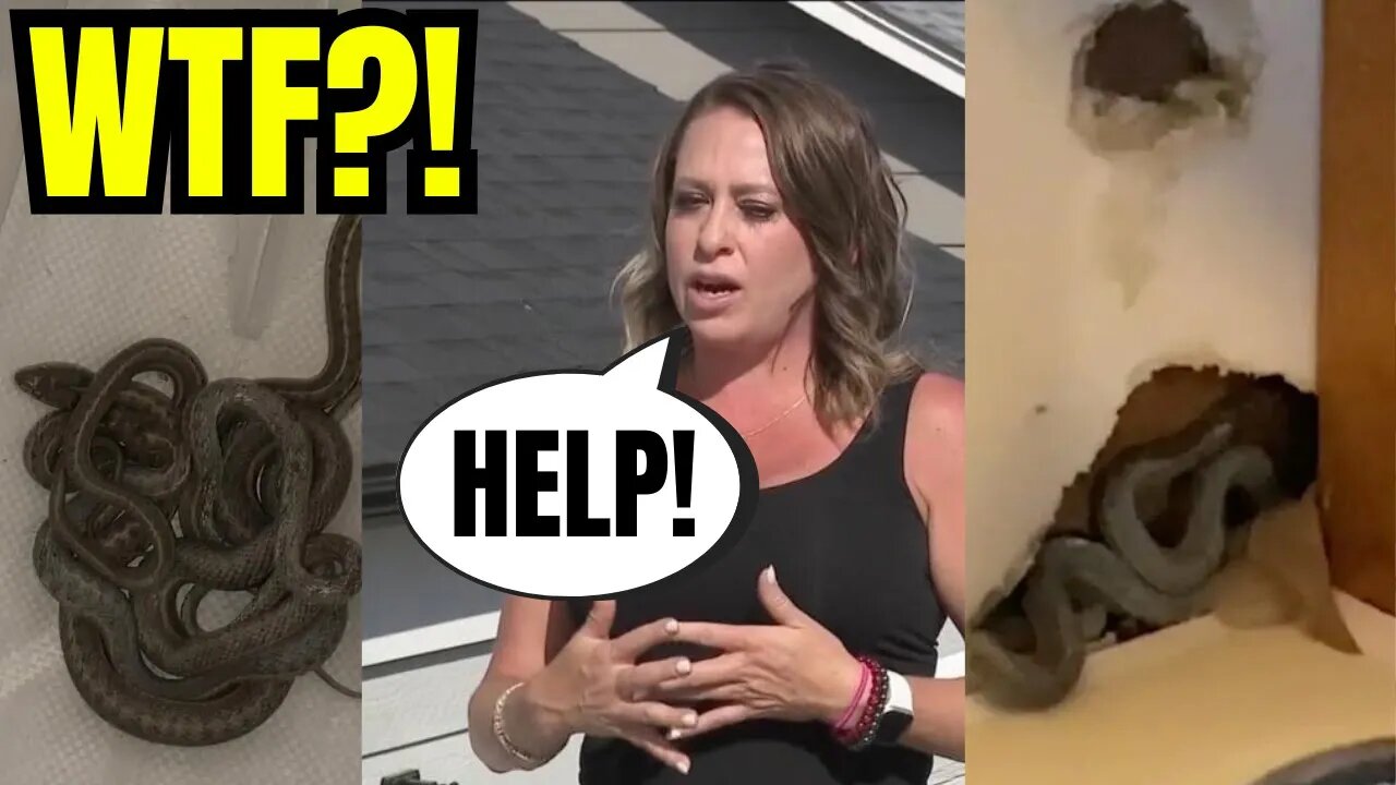 Colorado Home Buyer SHOCKED To FIND SNAKES INFESTED in WALLS of NEWLY Purchased Home!