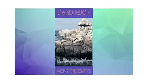 Camoflauged Rock! Incredible! #Shorts #Camo #Camoflauge #Stealth #CamoflaugedRock