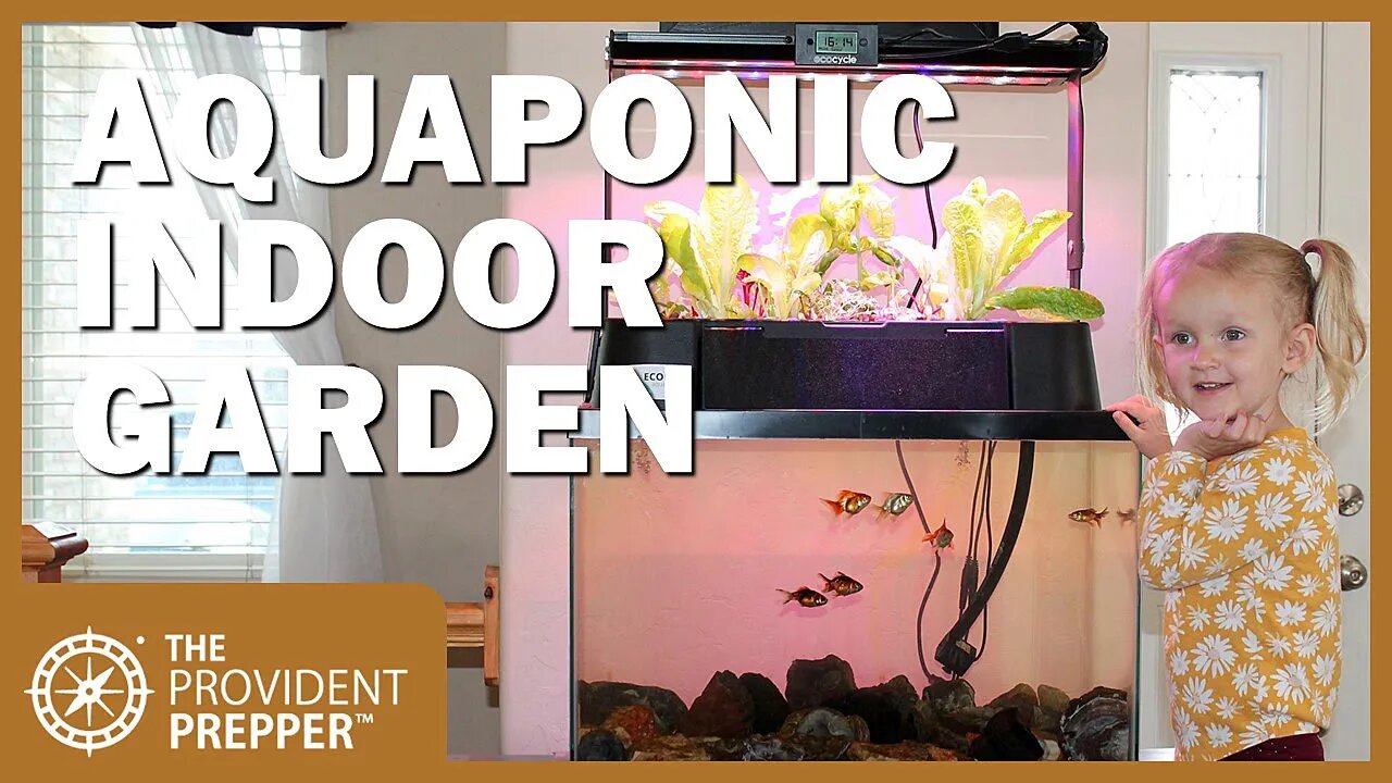 Indoor Garden: ECOLIFE's ECO-Cycle Aquaponics Indoor Fish Tank