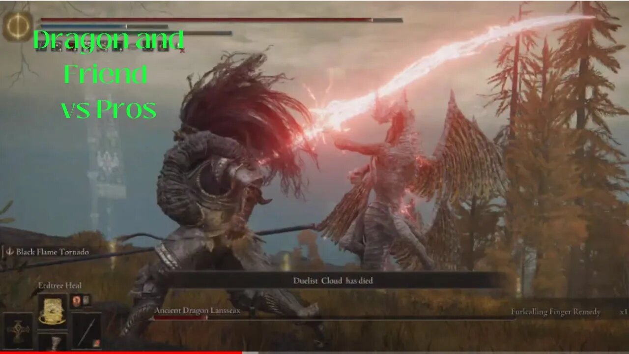 Red Lightning dragon and friend vs Pros Elden Ring