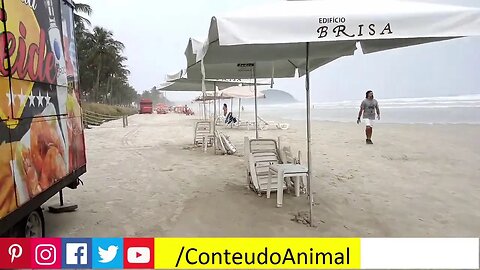 guarda esse video da riveira de são lourenço ... só isso