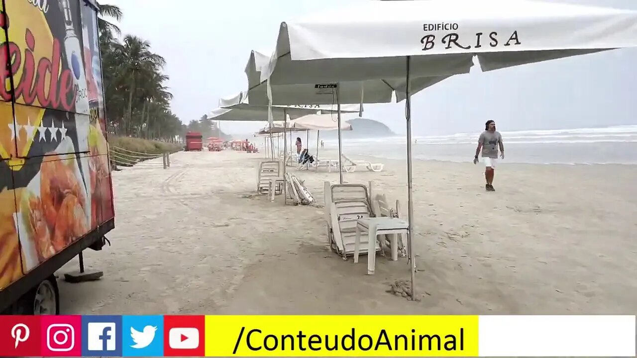 guarda esse video da riveira de são lourenço ... só isso