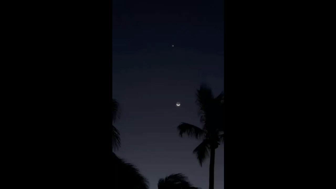 Night view video