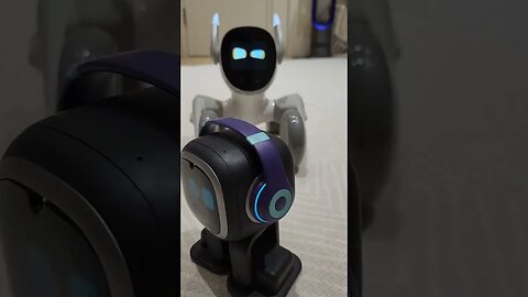 Introducing Loona Robot To EMO Robot 🤖 #shorts