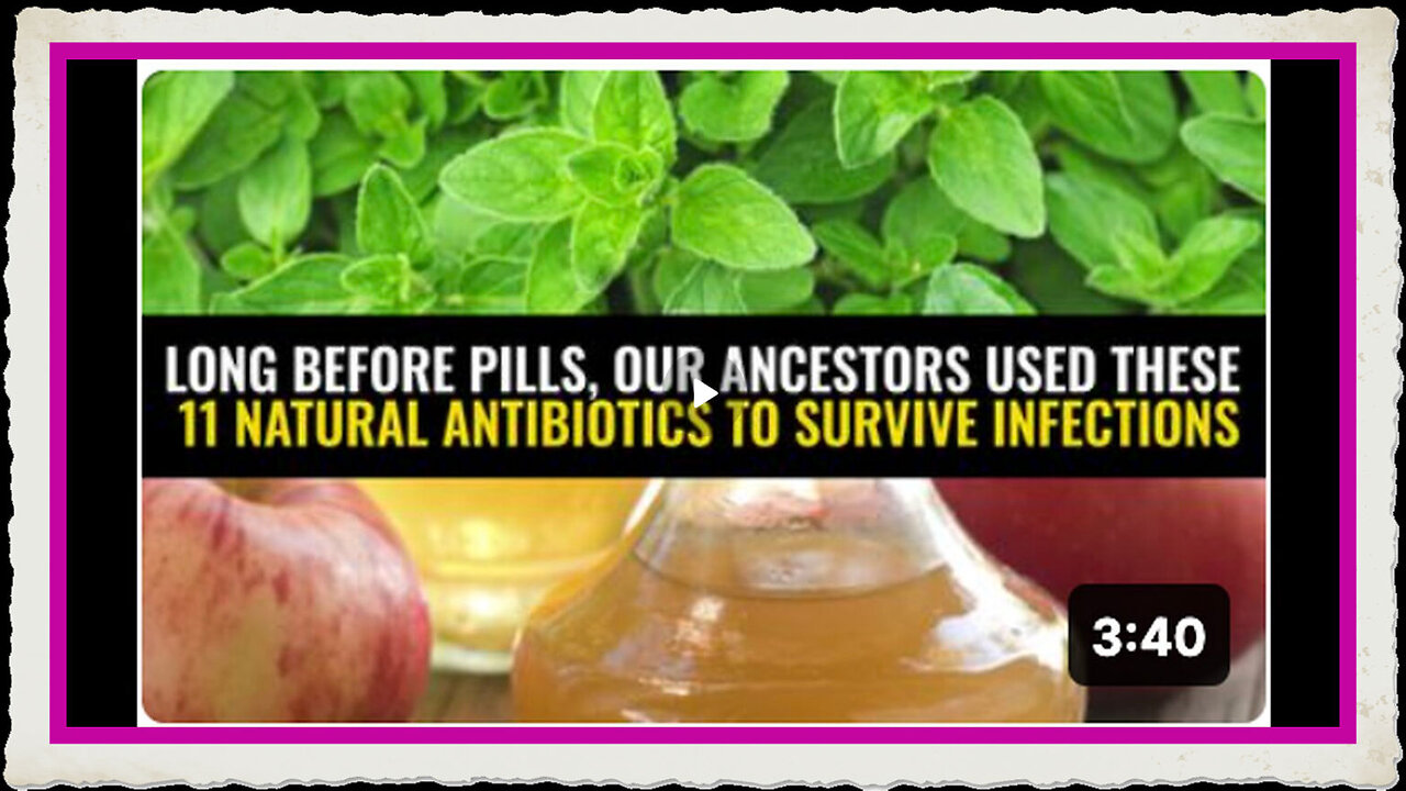 Long before pills, our ancestors used these 11 natural antibiotics to survive infections