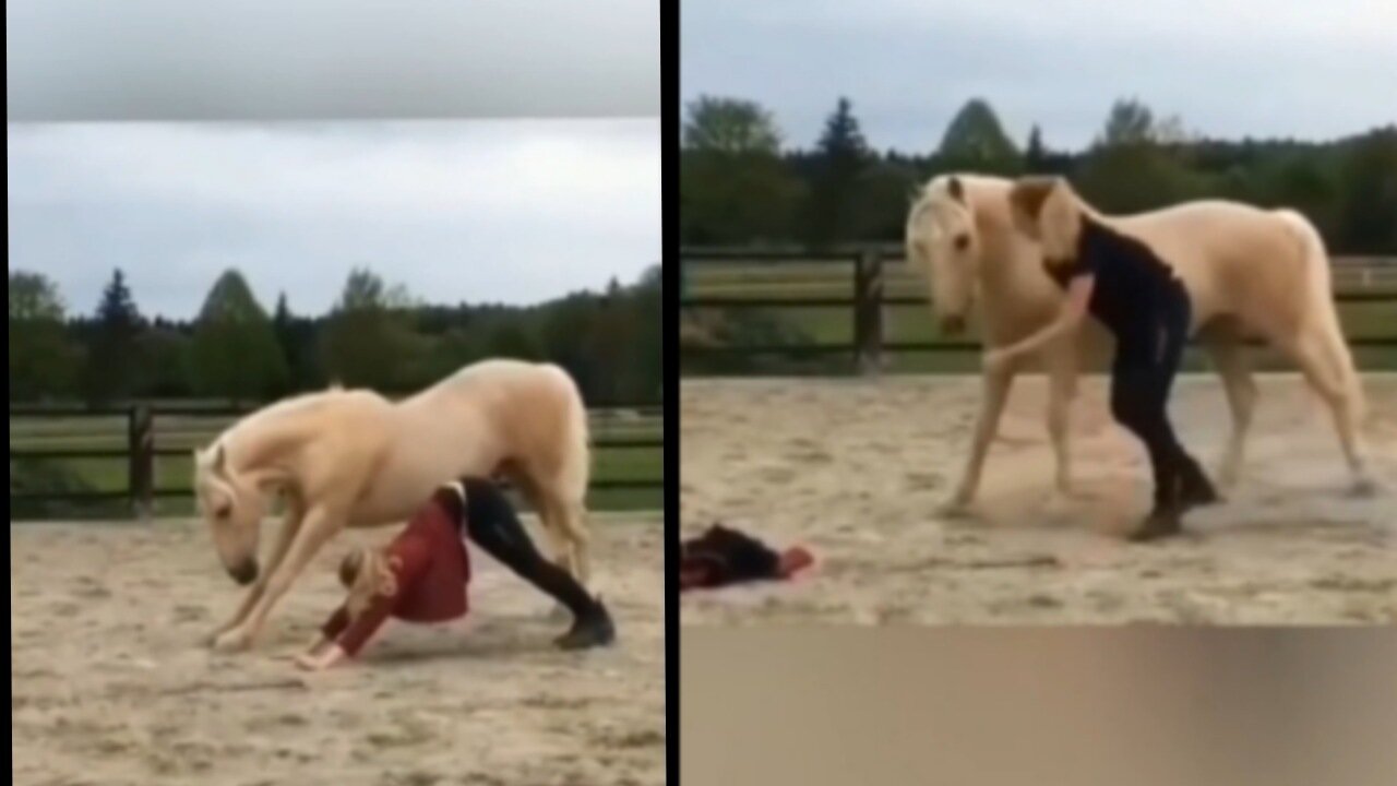 Rumble Hot Girl Vs horse Hot Scene for Their entertainment