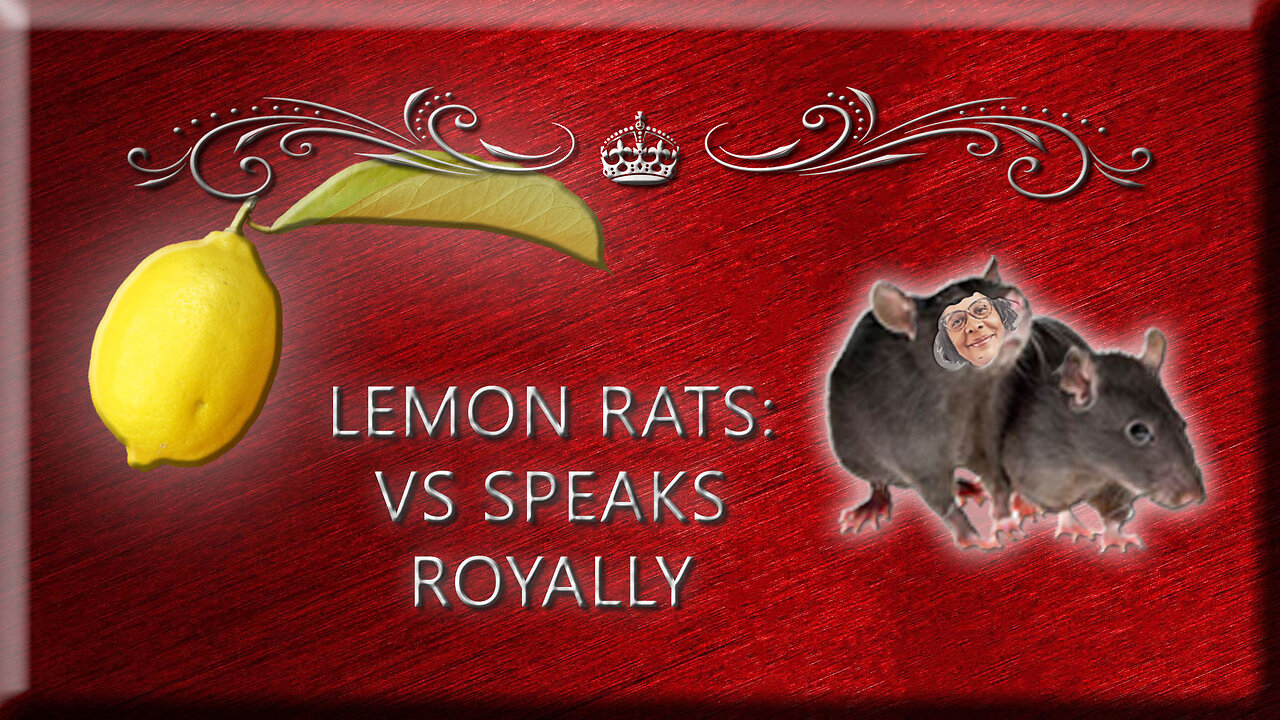 Lemon Rat: VS Speaks Royally