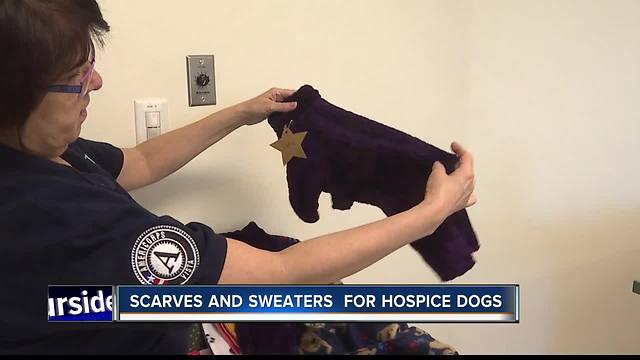 Volunteers help St. Luke's Hospice Dogs