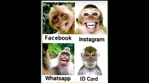 Life is plane😌🤗😂🤣