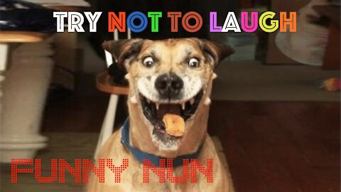 Try not to laugh! Funny cats and dogs