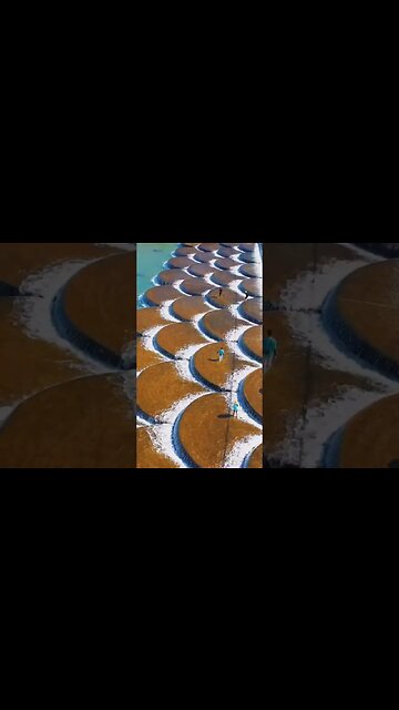 Furong Golden Stream.