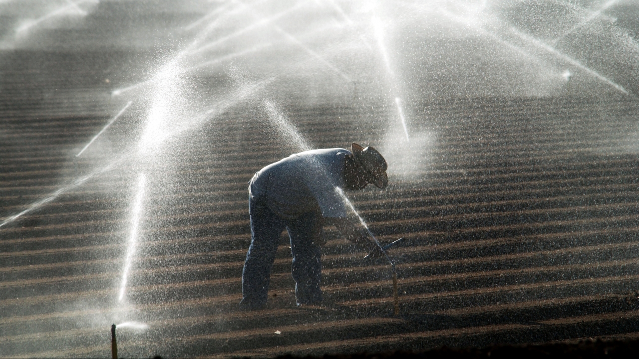 Trump Signs Order To Divert California Water