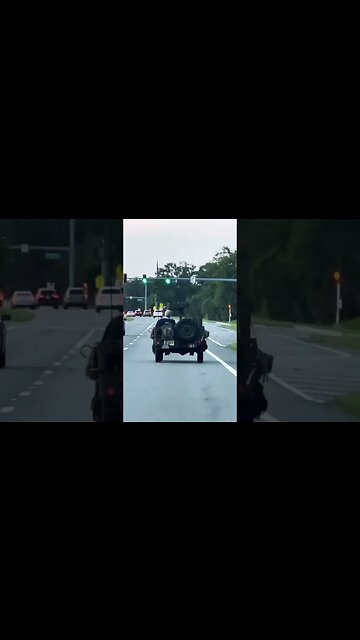 Crazy! He’s ready for WW3 or something? 🙀😹 #shorts