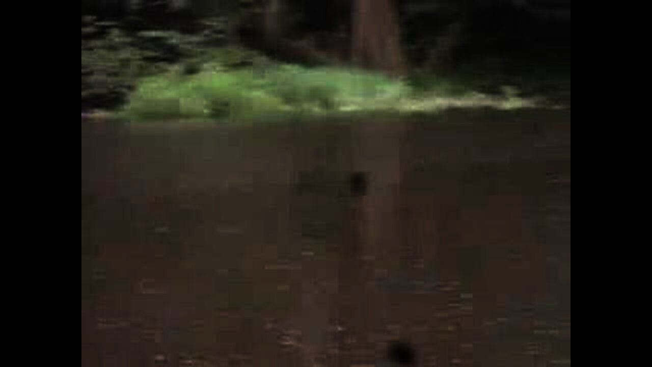 Amazon 2007