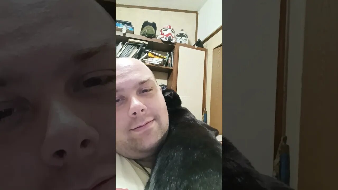 Gaming with kitty #shortsfeed #shortsvideo #kitty #kittycat #youtubeshorts #catlover #cutekitty