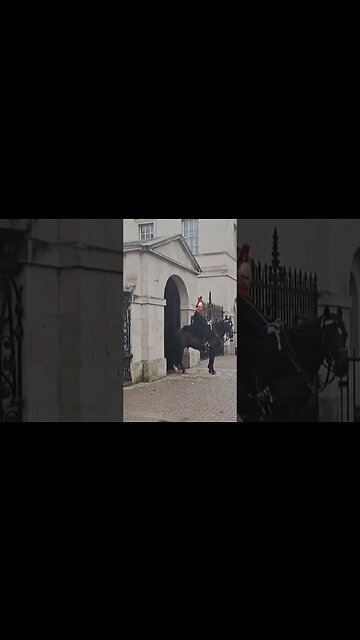 Guard shouts at tourist to make way #thekingsguard