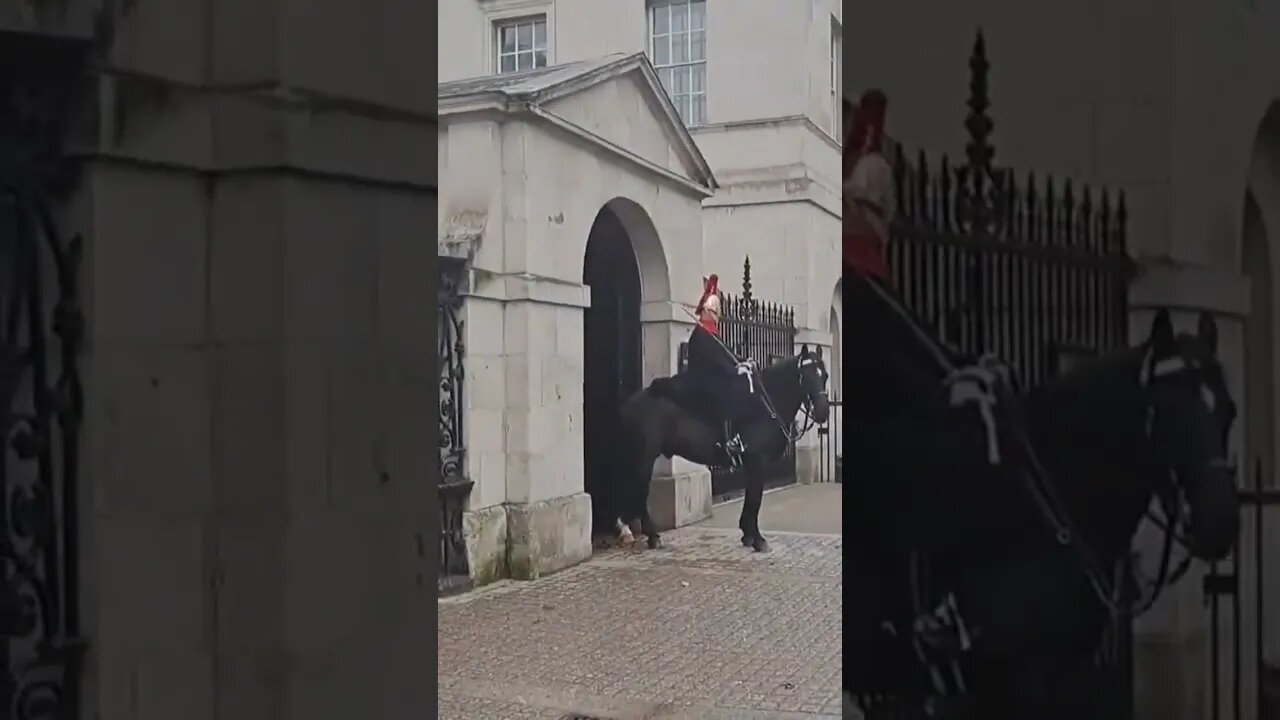 Guard shouts at tourist to make way #thekingsguard